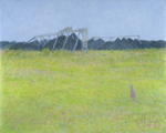 The Kangaroo and the Coalmine