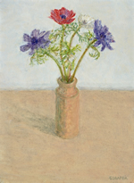 The Anemones