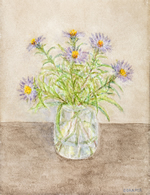 The Asters